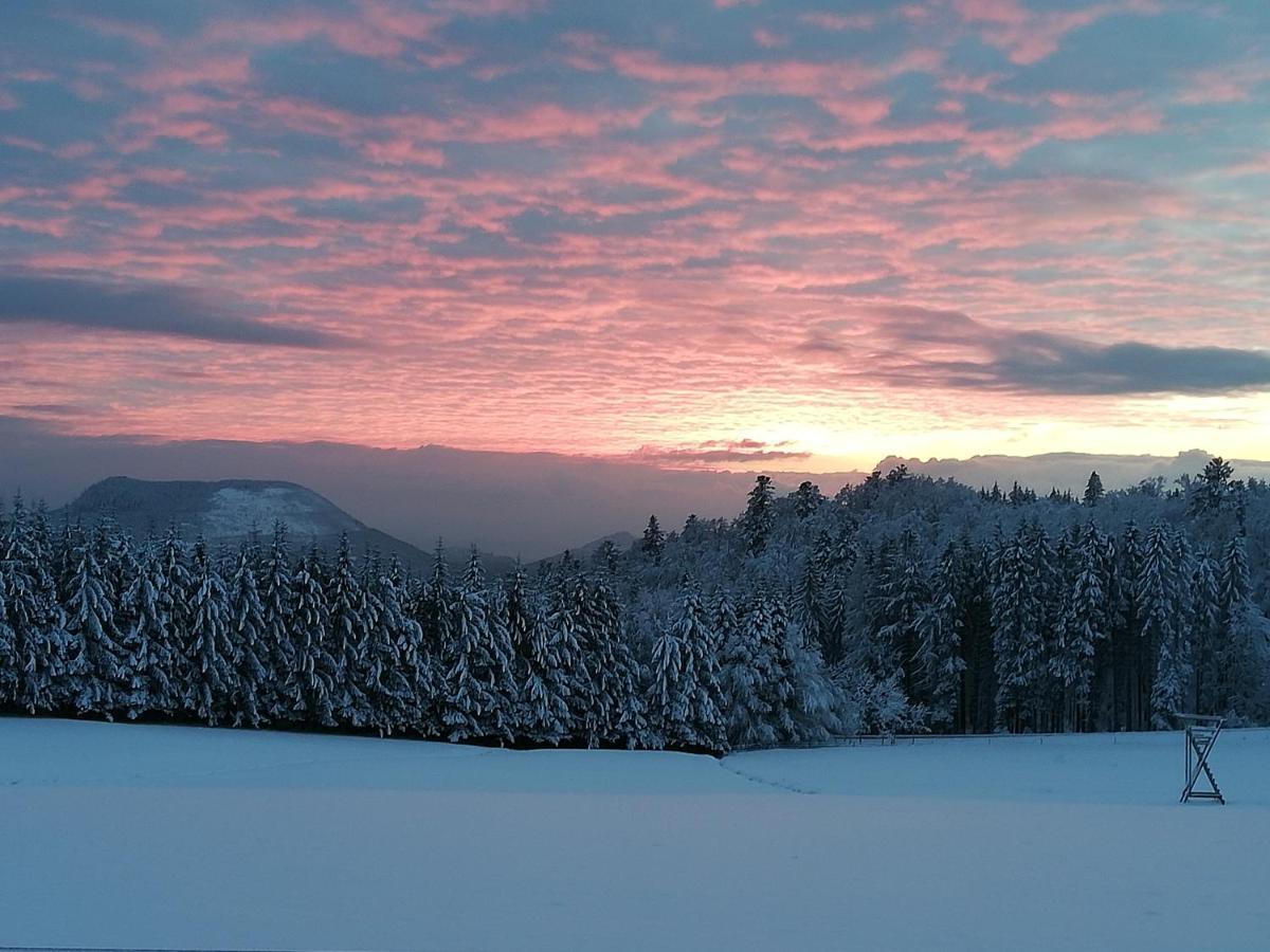 Domaine De Siane Villa Plaine Exteriör bild