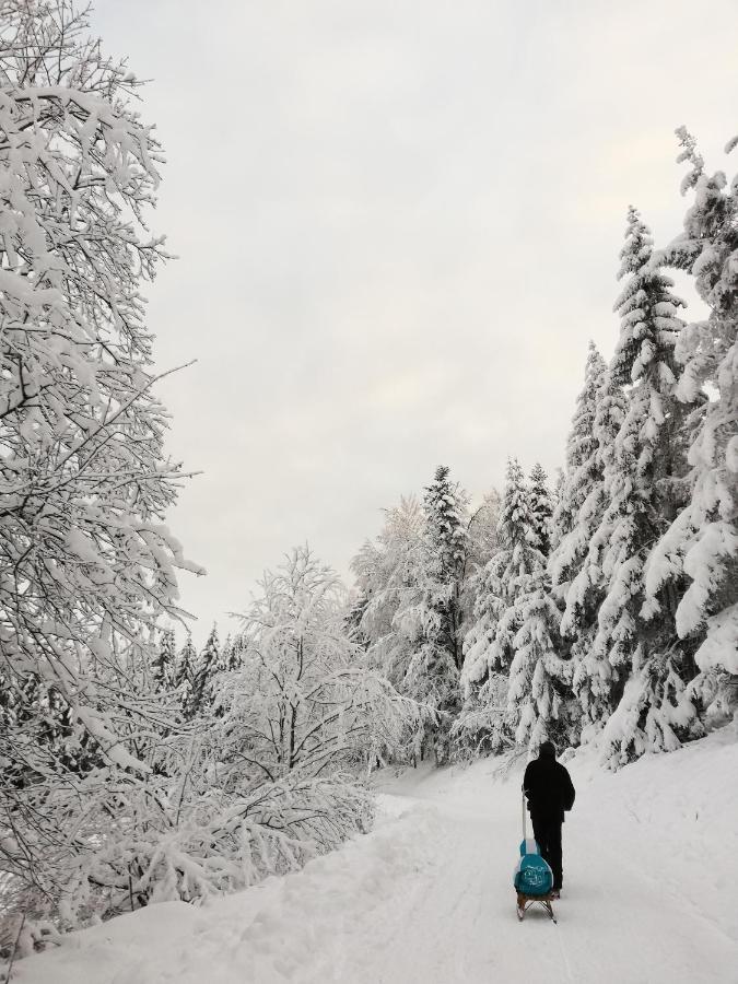 Domaine De Siane Villa Plaine Exteriör bild