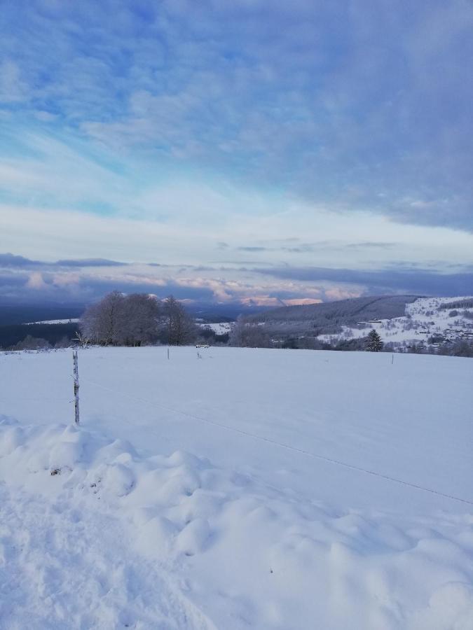 Domaine De Siane Villa Plaine Exteriör bild
